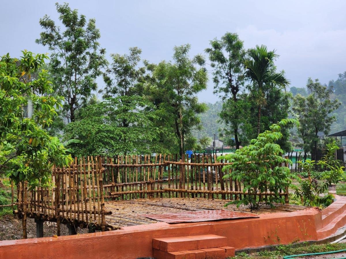 Fish Pond